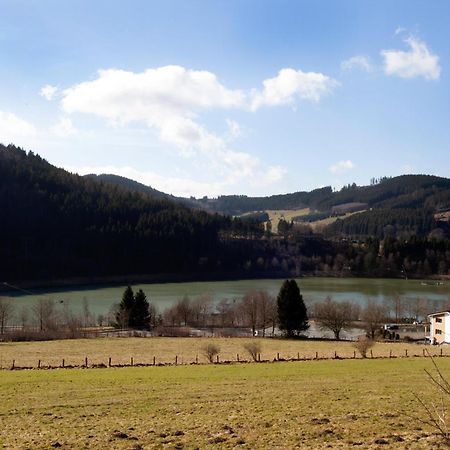 Fewo Hoher Eimberg Niedersfeld Apartment Winterberg Bagian luar foto